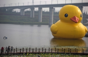 Утку размером с дом унесло течением