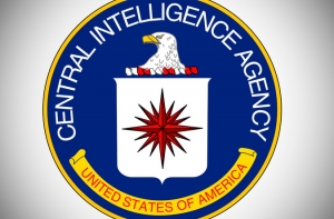 Ветеранов разведки США не устраивает ложь властей о малазийском Боинге