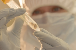 Ученые нашли в кишечнике человека новый вирус, связанный с ожирением