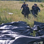 Спасатели завершили поиск тел на месте падения «Боинга»