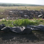 Совбез ООН согласовал проект резолюции по крушению Boeing