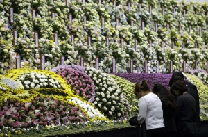 Владелец парома Sewol прятался от полиции в потайном шкафу