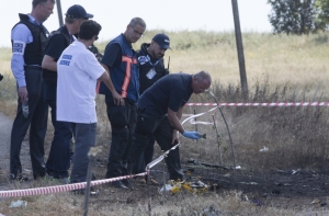 СМИ: Голландский эксперт высоко оценил работы на месте крушения Boeing