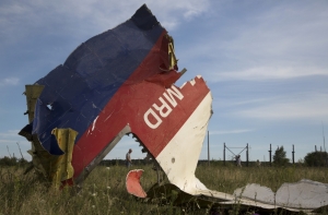 США не представили доказательств причастности РФ к катастрофе Boeing