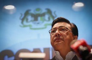 Министр Малайзии: «Боинг», по всей видимости, был сбит