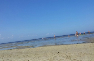 Улица Садовникова закрыта из-за найденных в гараже снарядов