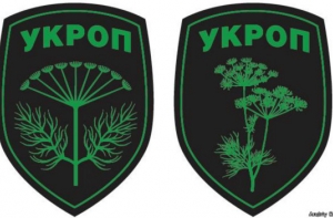 Вата с укропом: психологи растолковали язык политических мемов