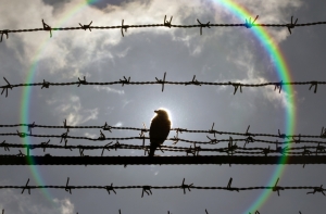 США отгородят Украину от Крыма колючей проволокой