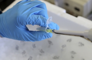 Американцы заявили о прорыве в лечении рака