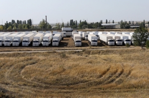 Красный Крест готов принять колонну с российской помощью на территории Украины