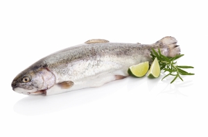 Россия дополнила список запрещенных к ввозу продуктов