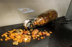 В китайском янтаре нашли прибалтийских насекомых