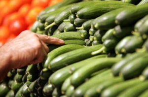 Польские фермеры: позиция Варшавы по Украине разоряет сельское хозяйство