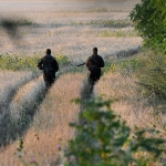 Киев признал участие иностранцев в спецоперации