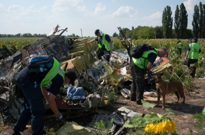 В ДНР заявили о передаче Киеву останков всех погибших в авиакатастрофе
