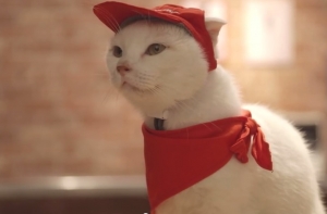 ВОЙНА САНКЦИЙ: что можно и что нельзя ввозить в Россию (подробный список)