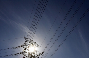 Sadales tīkls: скворец лишил электричества 7,5 тысяч человек (АУДИО)