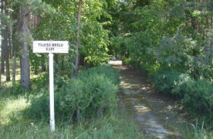 Привели в порядок братское воинское захоронение в Тилайши