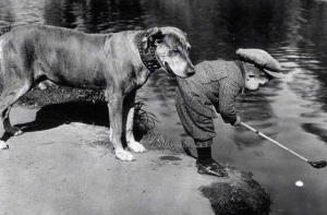 20 фотографий, доказывающих, что нет никого преданнее собаки
