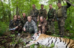 Путинского тигра заподозрили в разорении китайского курятника