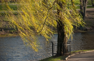 Метеоролог: начало ноября будет теплее нормы