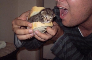 В Великобритании устроили флешмоб против гастарбайтеров (ФОТО)