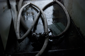 Из горящего здания в Риге эвакуировано четыре человека