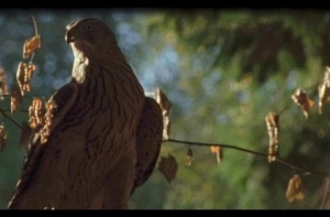 Экс-министр финансов: падение рубля остановить невозможно (АУДИО)