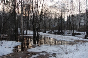 На Новый год в Латвию придет оттепель