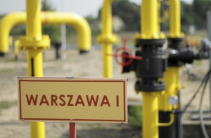 Польша собралась увеличить поставки на Украину российского газа