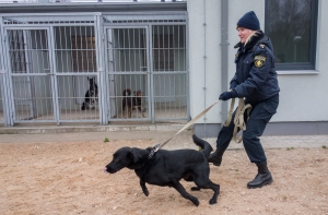 Полицейская собака помогла поймать вора