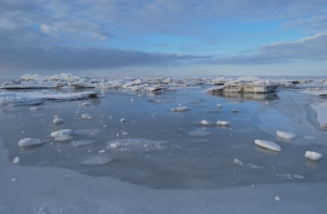 В Броценском крае спасен любитель подледного лова