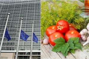 Еврокомиссия попросила разрешения на ввоз продуктов в Россию