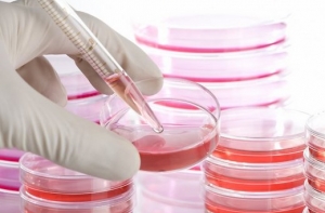 Портал: в Латвии вновь объявилась бактерия легионеллы