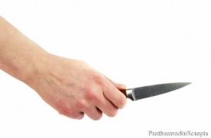 Программа: обвиняемый в изнасиловании собаки найден мертвым