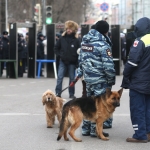 Оппозиция готовит «Марш гнева и достоинства»