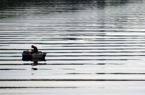 Из-за возможной утечки горючего произошло загрязнение Кишэзерса