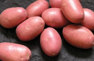 Найден обычный продукт, снижающий кровяное давление