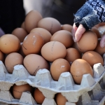 На праздники каждый житель Латвии планирует съесть не менее 3 яиц