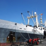 Опознан пропавший латвийский моряк с судна «Дальний Восток»