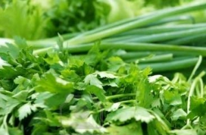 5 необычных блюд с молодой зеленью
