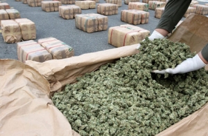 Таможня: каждый второй день в Латвии раскрывается контрабанда наркотиков