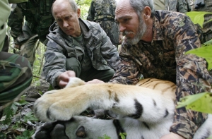 Путинский тигр Борис ушел от невесты