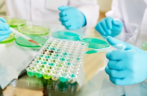 Газета: в Риге существует подземная больница