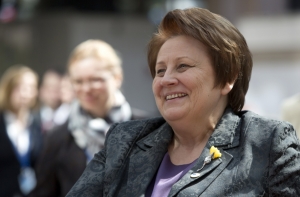 Страуюма: декларация саммита не подразумевает безвизового режима с Украиной