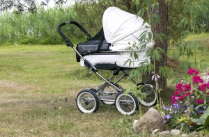 Рижская дума выделит родителям тройняшек почти 5000 евро