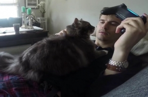 Кошка приревновала хозяина к играм на приставке (ВИДЕО)