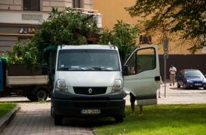 Буря в Латвии: спасатели вчера убрали 27 поваленных деревьев