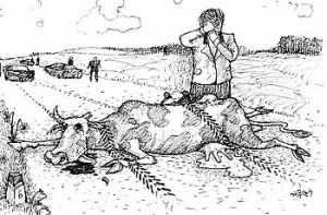 30 июля в истории Латвии: случай с коровой