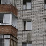 Пьяный москвич выбросил из окна 7-го этажа падчерицу и собаку